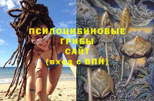стафф Аркадак