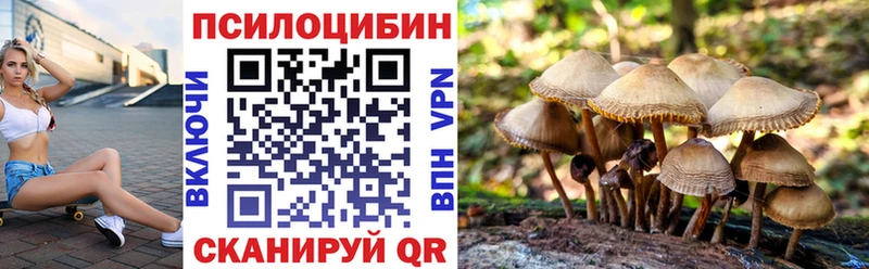 Галлюциногенные грибы прущие грибы  блэк спрут сайт  Губкинский 
